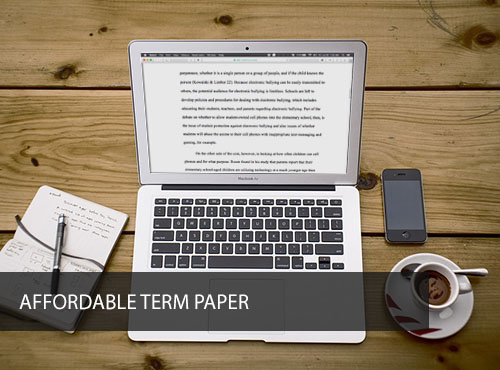 Affordable Term Paper