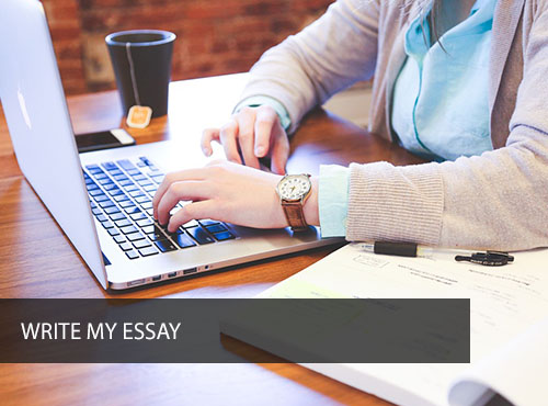 write my essay